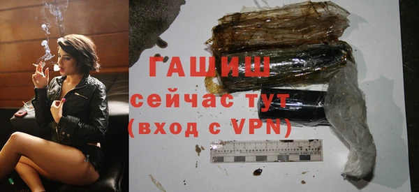 гидра Медвежьегорск