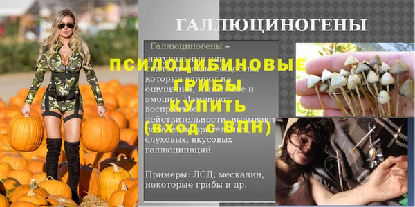 гидропоника Мегион